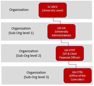 Illustratiion of Organization Levels